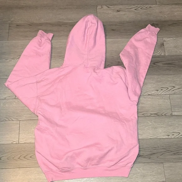 Dolly Parton Pink Graphic "I BEG YOUR PARTON" Pullover Hoodie Large - Picture 2 of 6